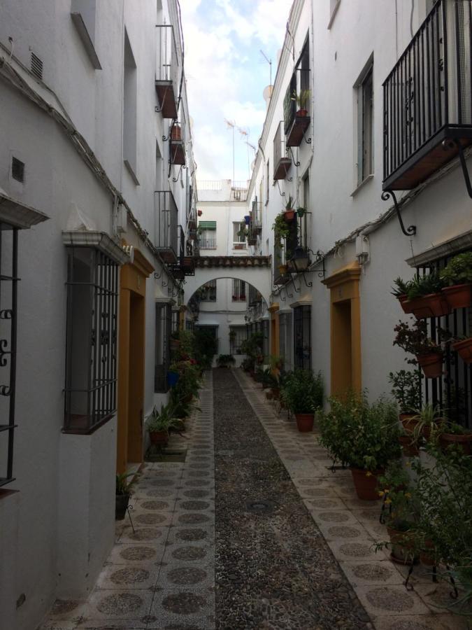 Lujosa Vivienda En Plena Juderia Lägenhet Córdoba Exteriör bild