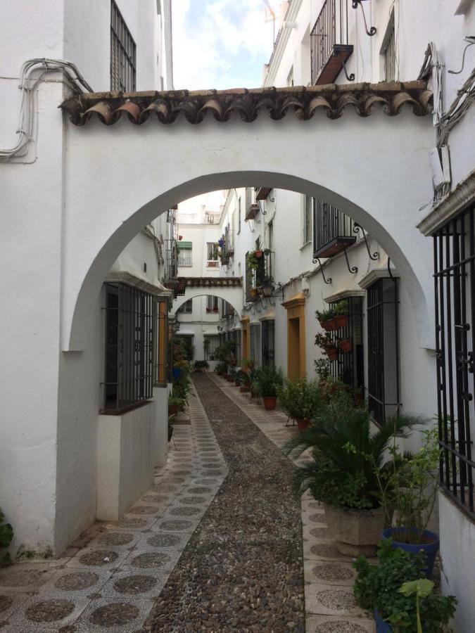 Lujosa Vivienda En Plena Juderia Lägenhet Córdoba Exteriör bild